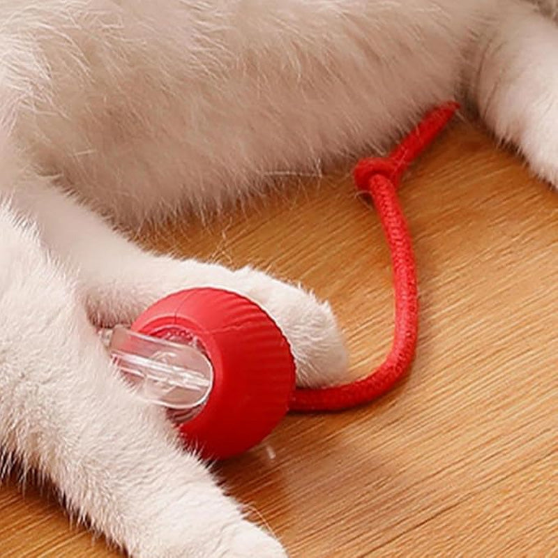 🐱 Udržování aktivity vašeho domácího mazlíčka 🐶 Inteligentní automatický kutálející se míč pro domácí mazlíčky
