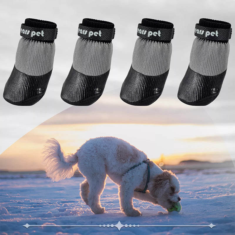🐶2 páry protiskluzových voděodolných ponožek pro psy