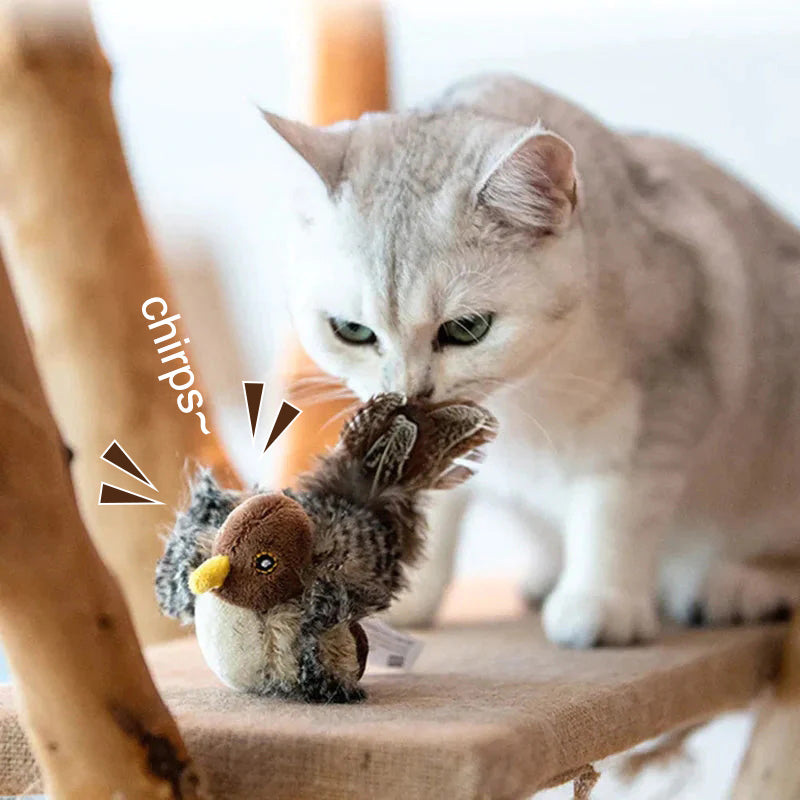 🐱 AKTUALIZOVANÁ HRAČKA PRO KOČKU S TVÁŘÍ 🐦