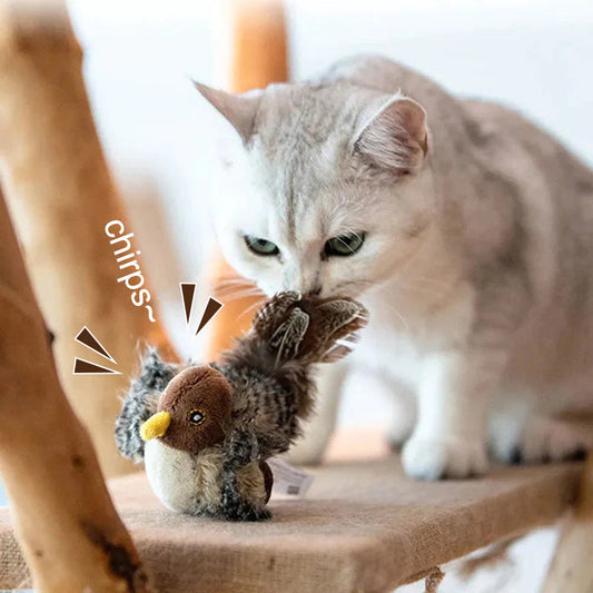 🐱 AKTUALIZOVANÁ HRAČKA PRO KOČKU S TVÁŘÍ 🐦