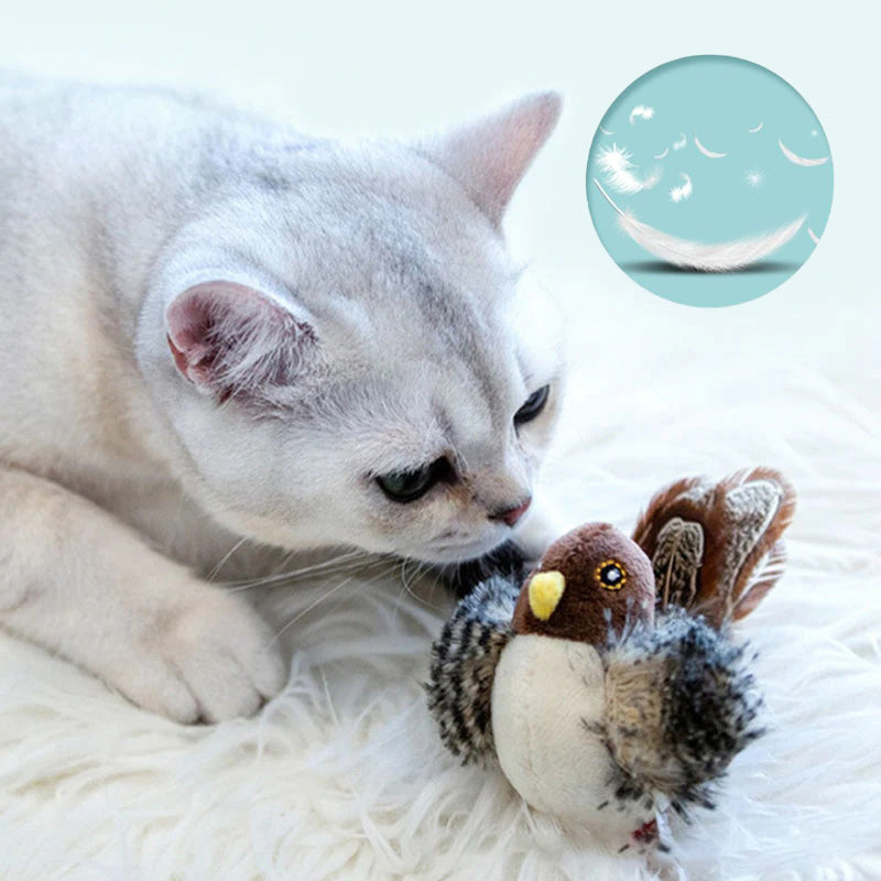 🐱 AKTUALIZOVANÁ HRAČKA PRO KOČKU S TVÁŘÍ 🐦