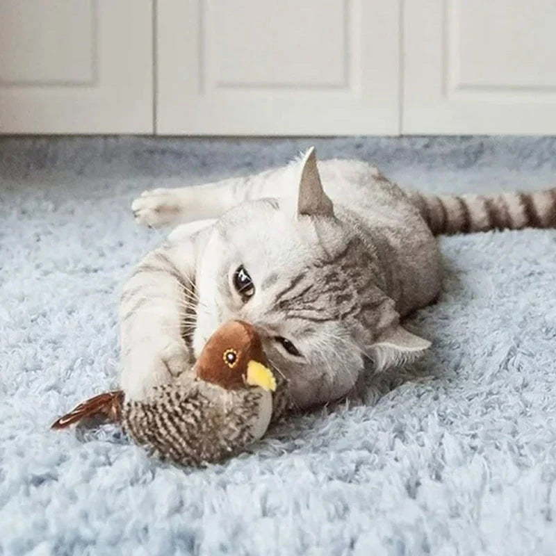 🐱 AKTUALIZOVANÁ HRAČKA PRO KOČKU S TVÁŘÍ 🐦