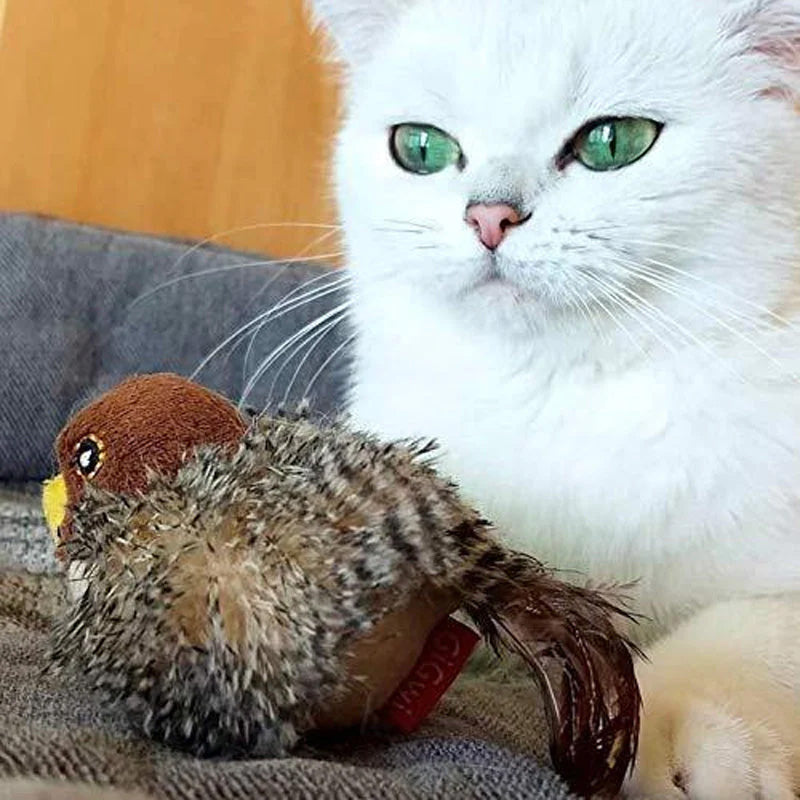🐱 AKTUALIZOVANÁ HRAČKA PRO KOČKU S TVÁŘÍ 🐦