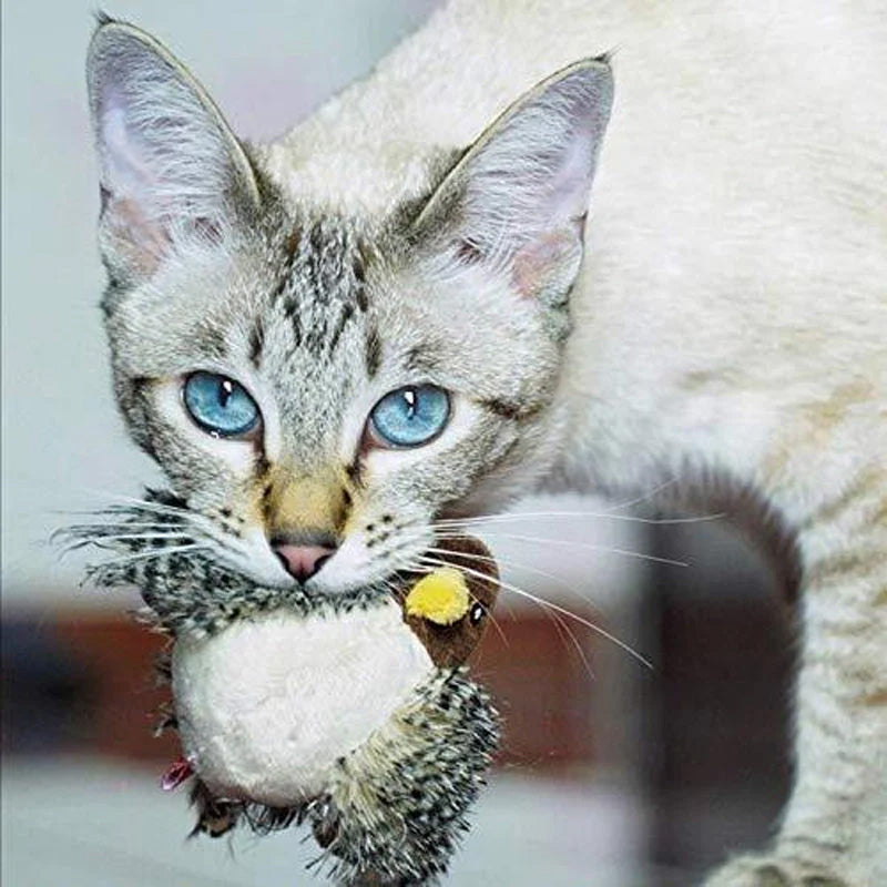 🐱 AKTUALIZOVANÁ HRAČKA PRO KOČKU S TVÁŘÍ 🐦