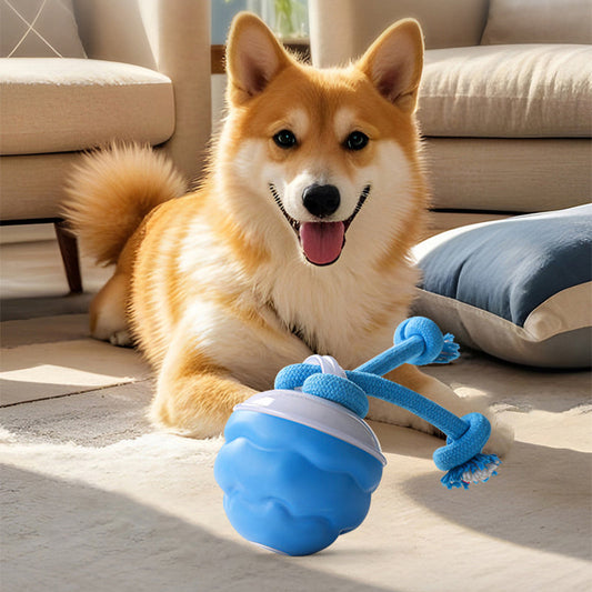 🐶Interaktivní elektronický uklidňující míč pro domácí mazlíčky