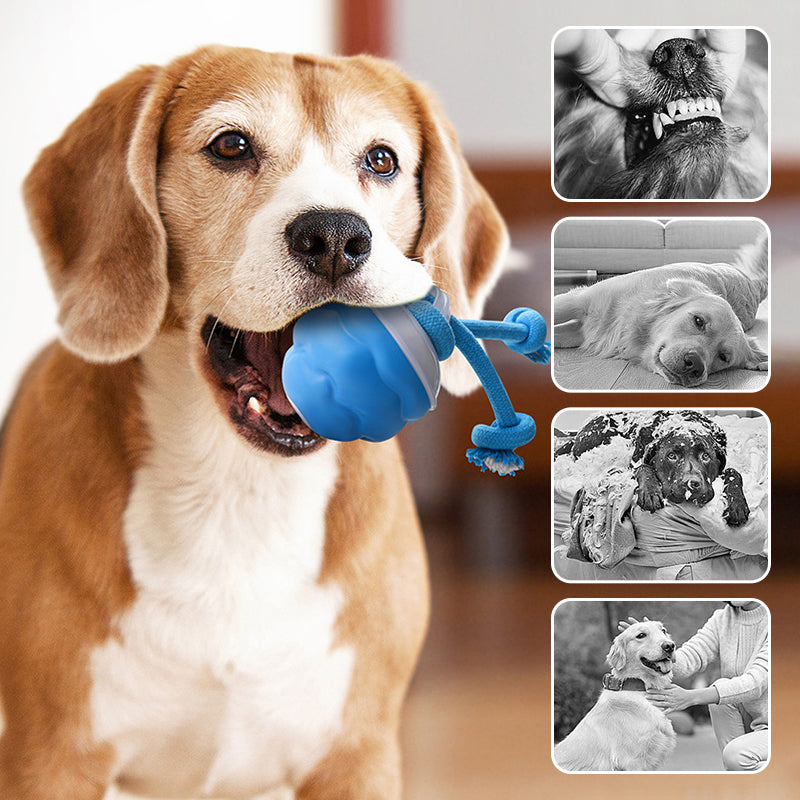🐶Interaktivní elektronický uklidňující míč pro domácí mazlíčky