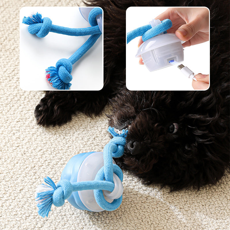 🐶Interaktivní elektronický uklidňující míč pro domácí mazlíčky