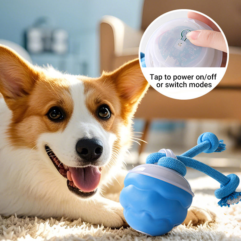 🐶Interaktivní elektronický uklidňující míč pro domácí mazlíčky