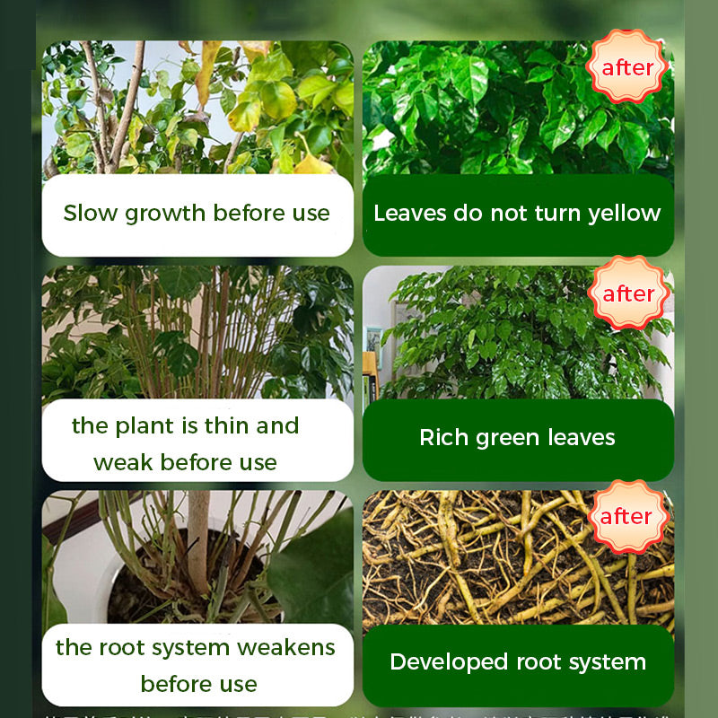 🌱Prášek na podporu květu | Rychlý růst kořenů + větší květy!🌸