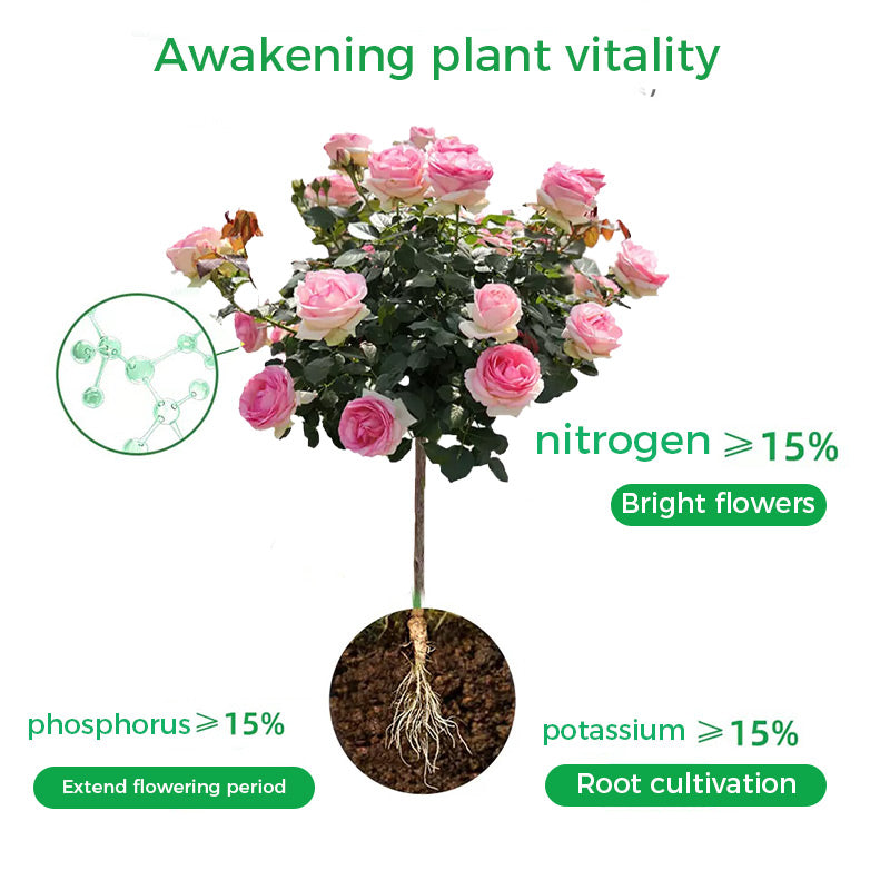 🌱Prášek na podporu květu | Rychlý růst kořenů + větší květy!🌸