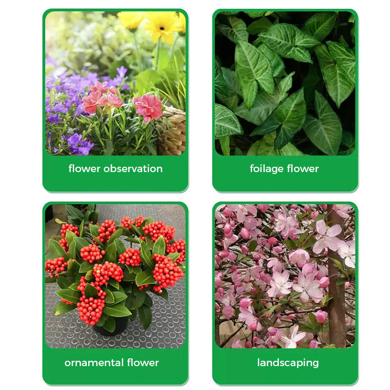 🌱Prášek na podporu květu | Rychlý růst kořenů + větší květy!🌸