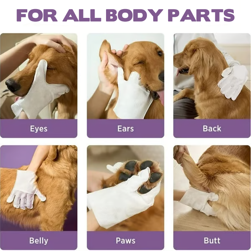 🐶Bezoplachové dezodorační rukavice pro čištění domácích mazlíčků