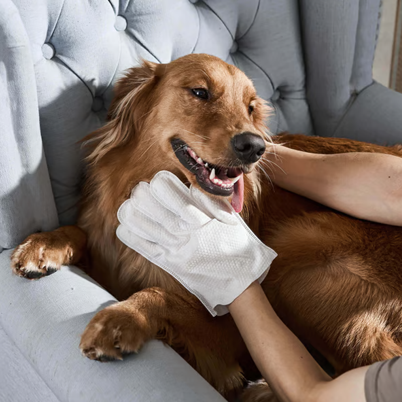 🐶Bezoplachové dezodorační rukavice pro čištění domácích mazlíčků