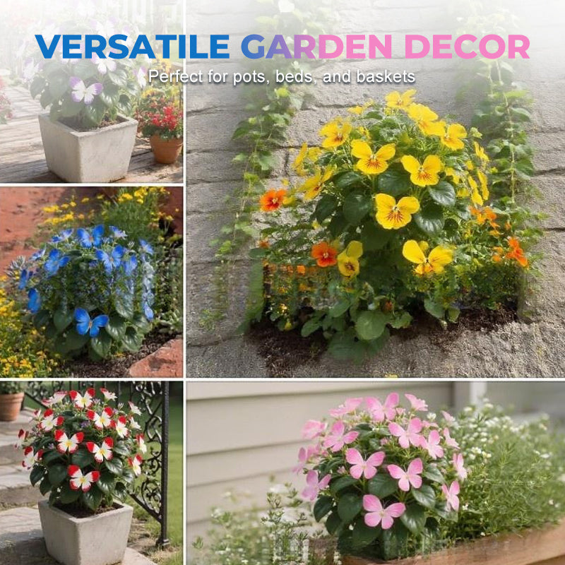 Semena květin ve tvaru motýla